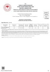 Gusto Ephesus %100 Doğal Erken Hasat Soğuk Sıkım Zeytinyağı – 250 ml Cam Şişe | Ege Naturel Sızma